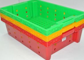 Khuôn nhựa hải sản 06